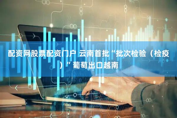 配资网股票配资门户 云南首批“批次检验（检疫）”葡萄出口越南